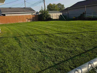 Lawn Care service in Southgate, 48195