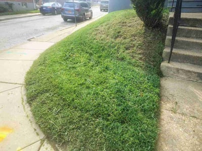 Lawn Care service in Laurel, 20707