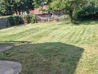 Lawn Care service in West Chester, 45069