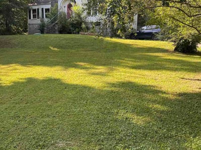 Lawn Care service in Marion, 37347