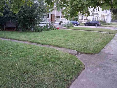 Lawn Care service in Miamisburg, 45342