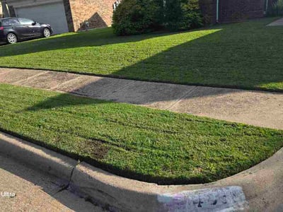 Lawn Care service in Old Orchard Beach, 04064
