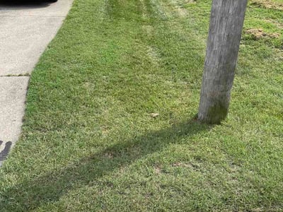 Lawn Care service in Fairfield, 45014