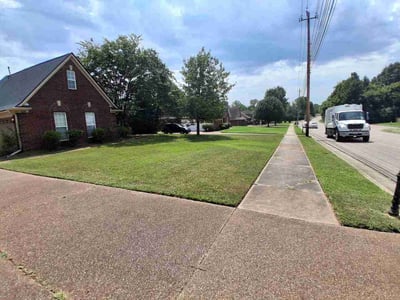 Lawn Care service in Cordova, 38018