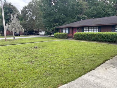 Lawn Care service in Carson, 90745