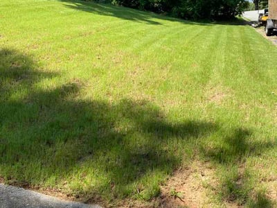Lawn Care service in Carson, 90745