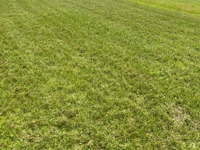 Lawn Care service in Orange City, 32763