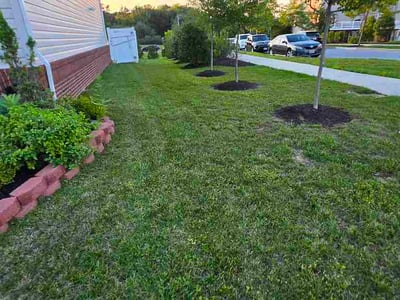 Lawn Care service in Owings Mills, 21117