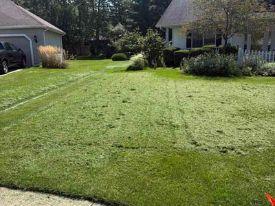 Lawn Care service in Brunswick, 04011