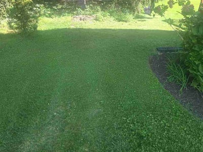 Lawn Care service in Owings Mills, 21117