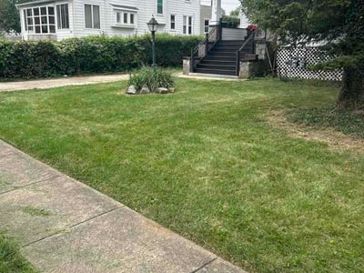 Lawn Care service in Cockeysville, 21030