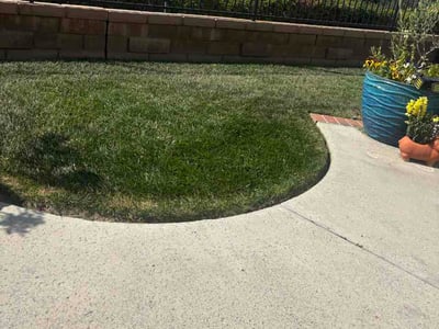 Lawn Care service in Mission Viejo, 92692