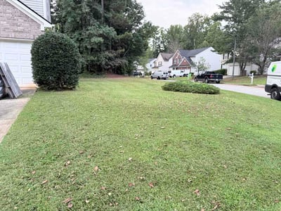 Lawn Care service in Mission Viejo, 92692