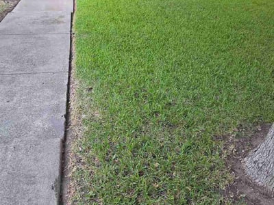 Lawn Care service in Sanger, 76266