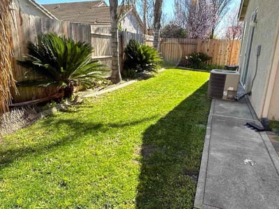 Lawn Care service in Fair Oaks, 95628