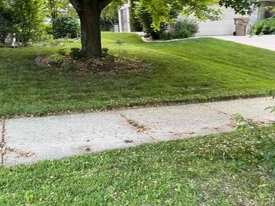 Lawn Care service in Sheboygan, 53081