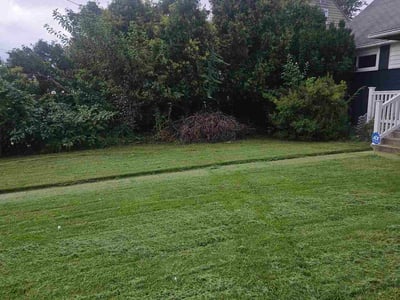 Lawn Care service in Havre De Grace, 21078