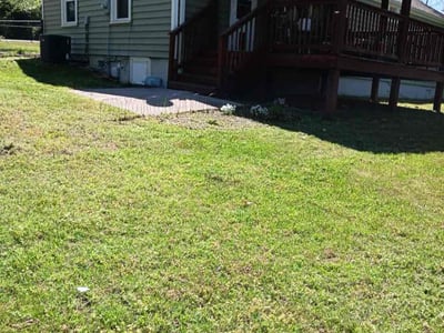 Lawn Care service in Hermitage, 37076