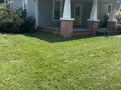 Lawn Care service in Corryton, 37721