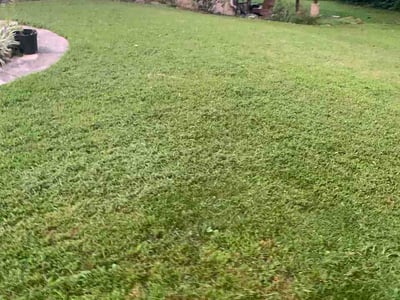 Lawn Care service in Havre De Grace, 21078