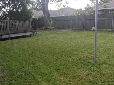 Lawn Care service in Harvey, 70058