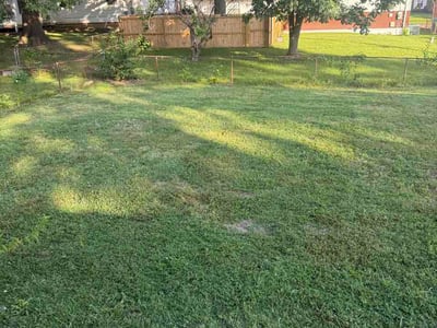Lawn Care service in Orem, 84057