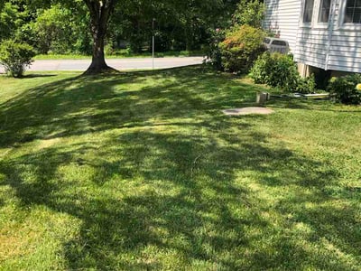 Lawn Care service in Gwynn Oak, 21207
