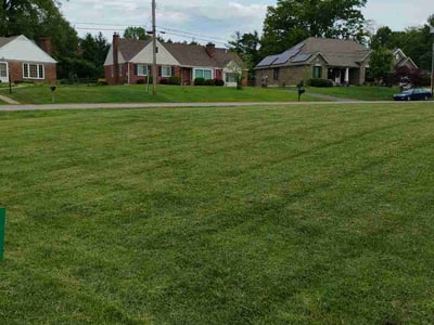 Lawn Care service in Hyde Park, 45208