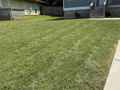 Lawn Care service in Burns, 37029