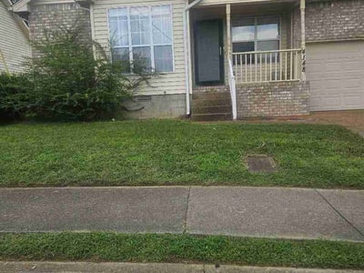 Lawn Care service in Burns, 37029