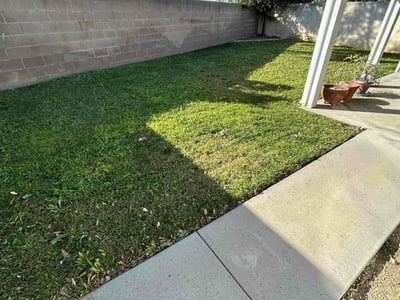 Lawn Care service in Rialto, 92376