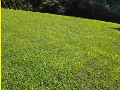 Lawn Care service in Lenoir City, 37771