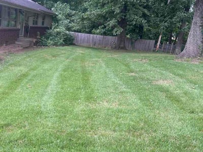 Lawn Care service in Lenoir City, 37771