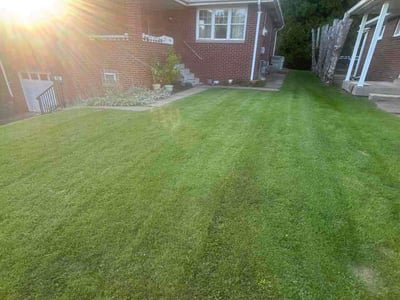 Lawn Care service in West Mifflin, 15122
