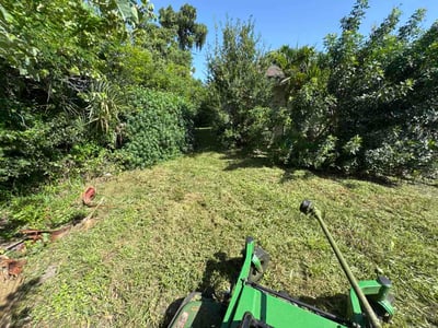 Lawn Care service in Venice, 90291