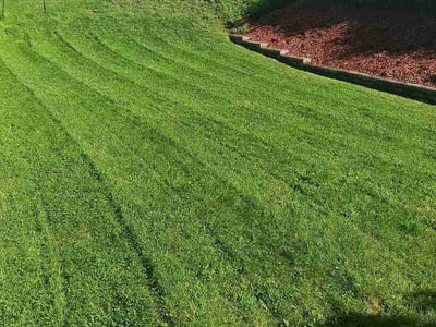 Lawn Care service in West Mifflin, 15122