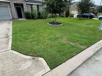 Lawn Care service in Cranston, 02910