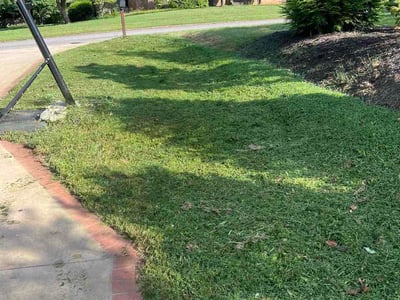 Lawn Care service in Powell, 37849