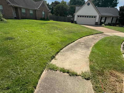 Lawn Care service in Rossville, 38066