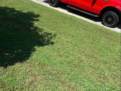 Lawn Care service in Raleigh, 27601