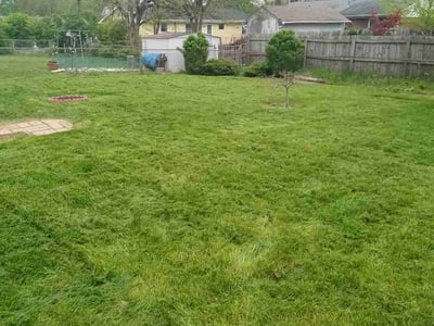 Lawn Care service in Bethel Park, 15102