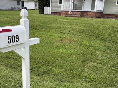 Lawn Care service in Loudon, 37774