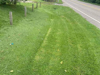Lawn Care service in Loudon, 37774