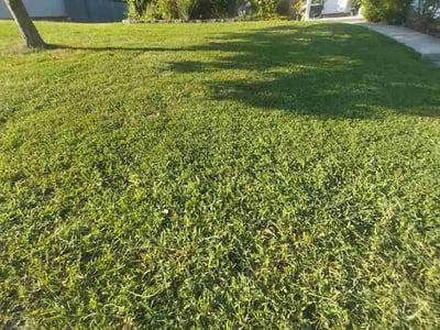 Lawn Care service in Ooltewah, 37363