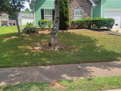 Lawn Care service in Torrance, 90503