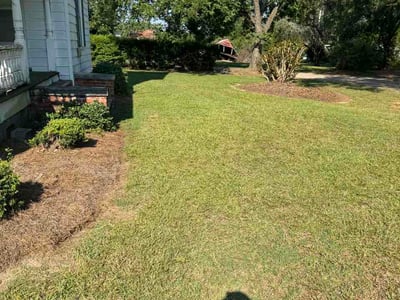 Lawn Care service in Kenly, 27542