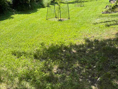 Lawn Care service in Cleves, 45002