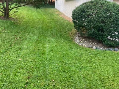 Lawn Care service in Columbia, 21044