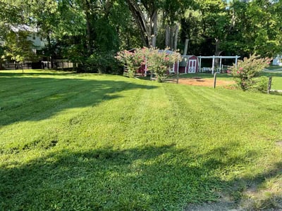 Lawn Care service in Columbia, 21044