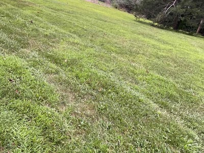 Lawn Care service in Redondo Beach, 90277